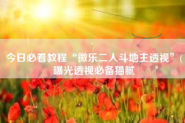 今日必看教程“微乐二人斗地主透视	”(曝光透视必备猫腻