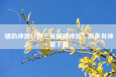 辅助神器“拼三张辅助神器”原来有神器下载