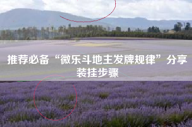 推荐必备“微乐斗地主发牌规律	”分享装挂步骤