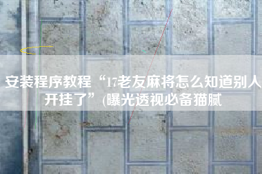 安装程序教程“17老友麻将怎么知道别人开挂了	”(曝光透视必备猫腻