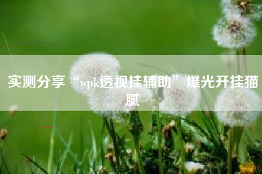 实测分享“wpk透视挂辅助”爆光开挂猫腻