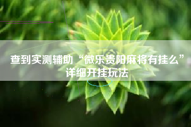 查到实测辅助“微乐贵阳麻将有挂么”详细开挂玩法