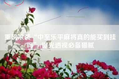 重磅来袭“中至乐平麻将真的能买到挂吗”(曝光透视必备猫腻