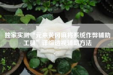 独家实测“元来黄冈麻将系统作弊辅助工具”详细透视辅助方法