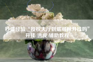 秒懂经验“授权大厅到底可以开挂吗	”开挂(透视)辅助教程
