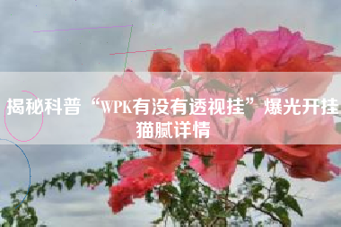 揭秘科普“WPK有没有透视挂	”爆光开挂猫腻详情