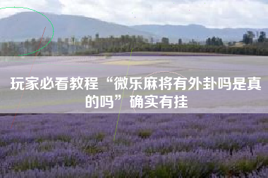 玩家必看教程“微乐麻将有外卦吗是真的吗”确实有挂