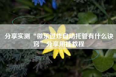 分享实测“微乐过炸自动托管有什么诀窍	”分享用挂教程