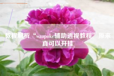 教程解析“waapoke辅助透视教程	”原来真可以开挂