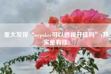重大发现“wepoker可以透视开挂吗	”(其实是有挂)