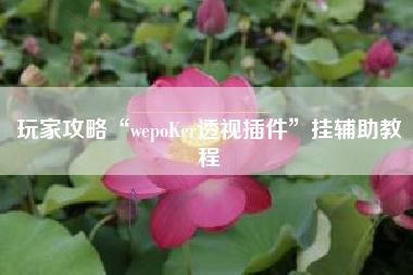 玩家攻略“wepoKer透视插件”挂辅助教程