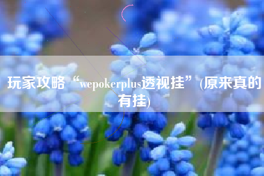 玩家攻略“wepokerplus透视挂	”(原来真的有挂)
