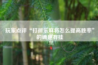 玩家点评“打微乐麻将怎么提高胜率	”的确是有挂