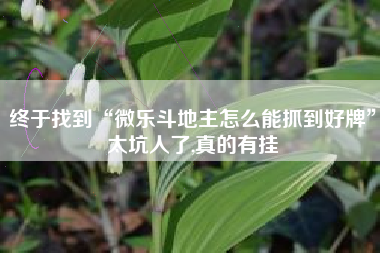 终于找到“微乐斗地主怎么能抓到好牌	”太坑人了,真的有挂