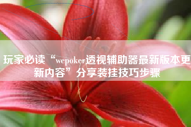 玩家必读“wepoker透视辅助器最新版本更新内容”分享装挂技巧步骤