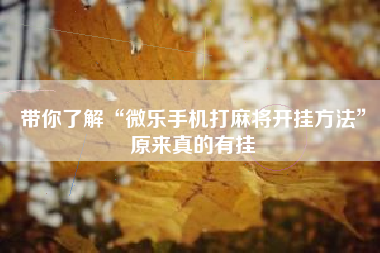 带你了解“微乐手机打麻将开挂方法”原来真的有挂