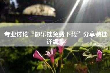 专业讨论“微乐挂免费下载”分享装挂详细步