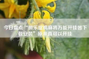 今日盘点“微乐捉鸡麻将万能开挂器下载安装”原来真可以开挂