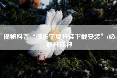 揭秘科普“微乐宁夏开挂下载安装”(必胜开挂神