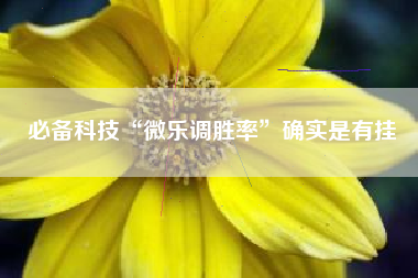 必备科技“微乐调胜率	”确实是有挂