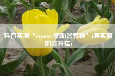 科普实测“wepoker辅助器教程”(其实真的能开挂)