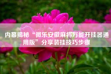 内幕揭秘“微乐安徽麻将万能开挂器通用版”分享装挂技巧步骤