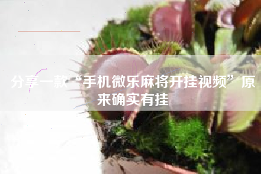 分享一款“手机微乐麻将开挂视频”原来确实有挂