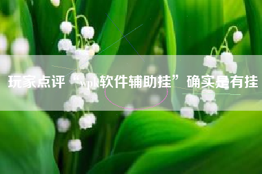 玩家点评“wpk软件辅助挂	”确实是有挂