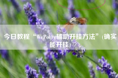 今日教程“WePoker辅助开挂方法	”(确实能开挂)