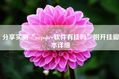 分享实测“wepoker软件有挂吗”附开挂脚本详细