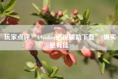 玩家点评“AApoker透视辅助下载	”(确实是有挂)