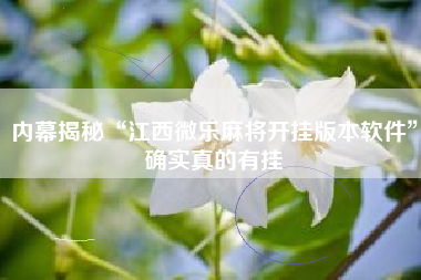 内幕揭秘“江西微乐麻将开挂版本软件”确实真的有挂