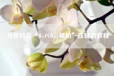 分享科普“WePOKer辅助	”挂辅助教程