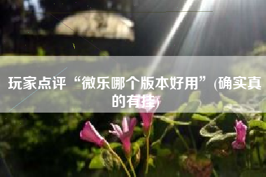 玩家点评“微乐哪个版本好用”(确实真的有挂)