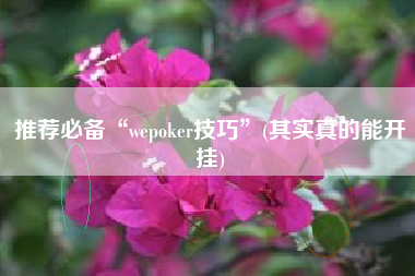 推荐必备“wepoker技巧	”(其实真的能开挂)
