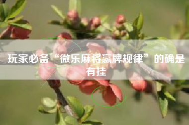 玩家必备“微乐麻将赢牌规律”的确是有挂