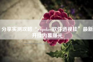 分享实测攻略“wepoker软件透视挂”最新开挂内幕曝光