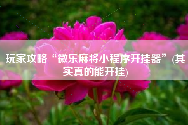 玩家攻略“微乐麻将小程序开挂器”(其实真的能开挂)
