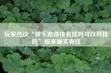 玩家热议“微乐跑得快有挂吗可以开挂吗”原来确实有挂