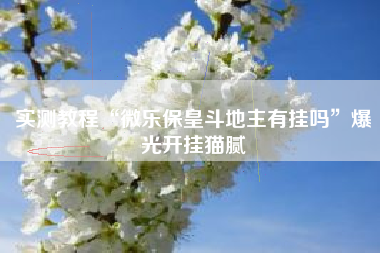 实测教程“微乐保皇斗地主有挂吗”爆光开挂猫腻