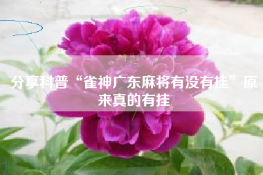 分享科普“雀神广东麻将有没有挂	”原来真的有挂
