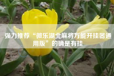强力推荐“微乐湖北麻将万能开挂器通用版”的确是有挂