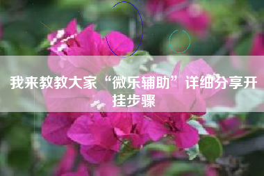 我来教教大家“微乐辅助	”详细分享开挂步骤