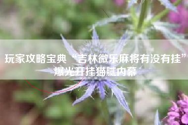 玩家攻略宝典“吉林微乐麻将有没有挂	”爆光开挂猫腻内幕