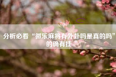 分析必看“微乐麻将有外卦吗是真的吗”的确有挂