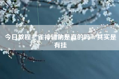 今日教程“雀神辅助是真的吗	”其实是有挂
