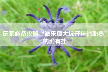 玩家必备攻略“微乐填大坑开挂辅助器”的确有挂