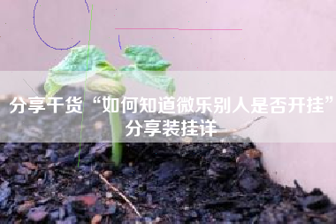 分享干货“如何知道微乐别人是否开挂	”分享装挂详