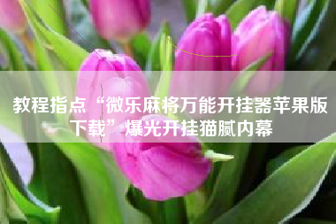 教程指点“微乐麻将万能开挂器苹果版下载”爆光开挂猫腻内幕