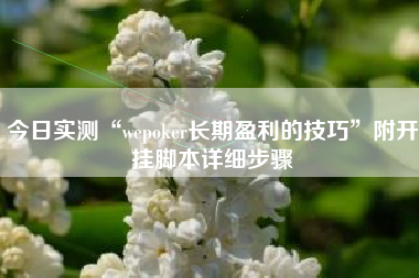 今日实测“wepoker长期盈利的技巧”附开挂脚本详细步骤